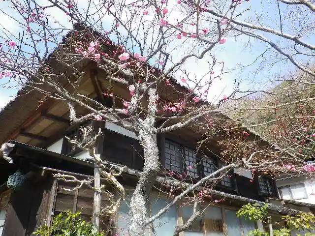 海蔵寺のその他建物