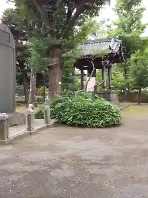 寛永寺(根本中堂)のその他建物