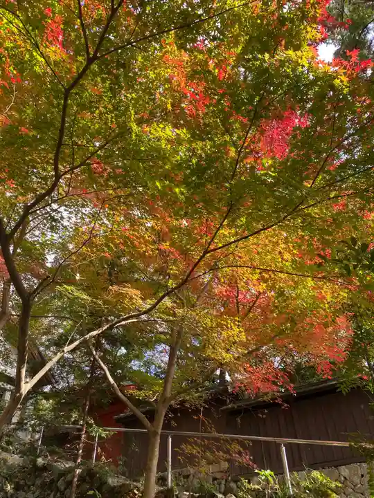 事任八幡宮の自然