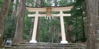 飛瀧神社(熊野那智大社別宮)の鳥居