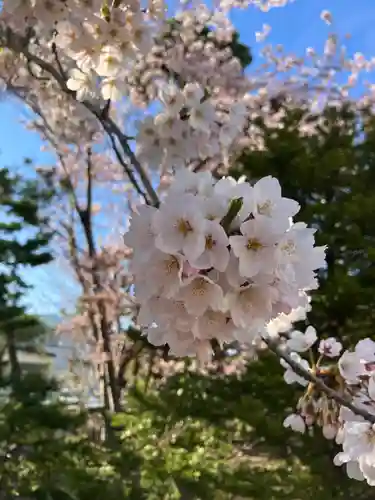 烈々布神社の自然