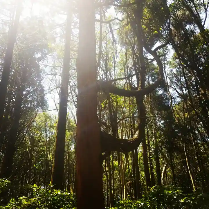 鹿島神宮の自然