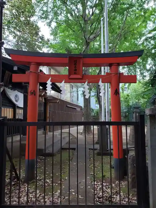 羽根木神社の鳥居