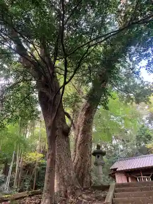 熊野神社(神奈川県)