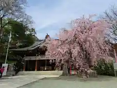 鈴鹿明神社(神奈川県)