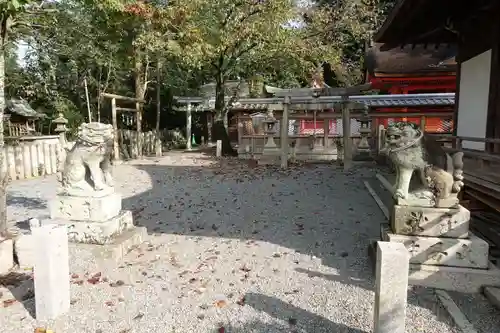 積川神社の狛犬