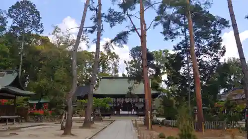 今宮神社の自然