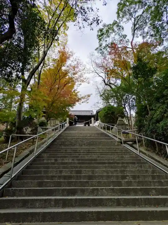 阿智神社(岡山県)