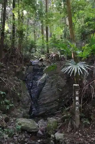 武蔵二宮 金鑚神社の自然