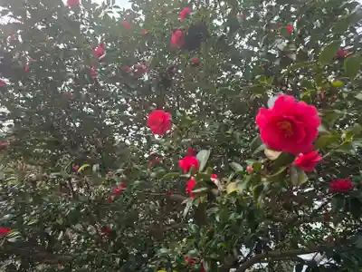 大覚寺(京都府)