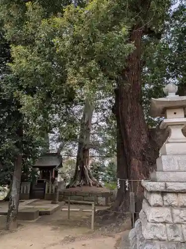 諏訪神社(東京都)