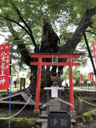 秩父今宮神社の鳥居