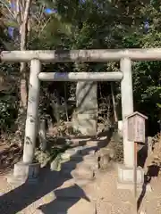 鷲宮神社(埼玉県)