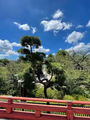 清水観音堂(東京都)