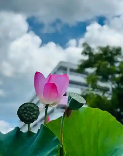 福井神社(福井県)