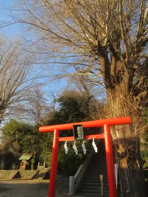 雷神社(神奈川県)