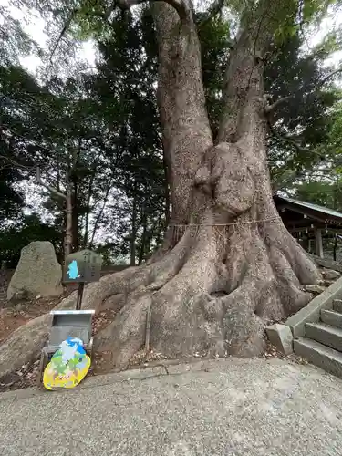 五所八幡宮(福岡県)