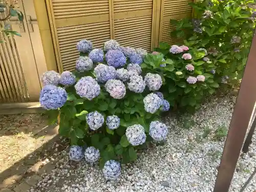 延命寺（逗子大師延命寺）(神奈川県)