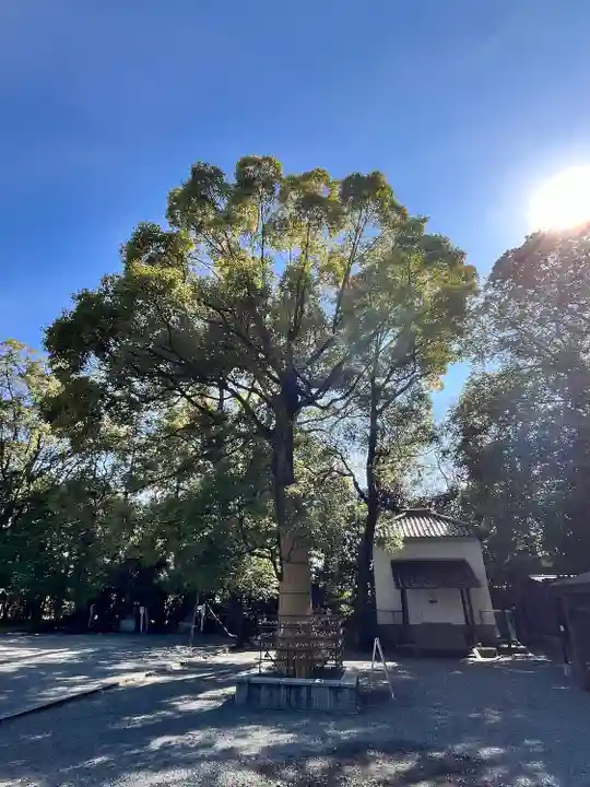 水無瀬神宮(大阪府)