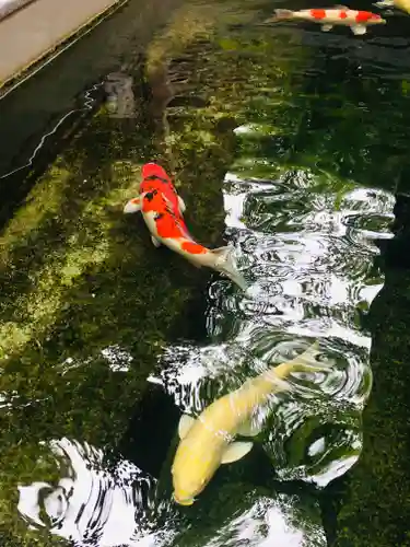 大聖観音寺（あびこ観音）(大阪府)