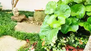 寿量山 速成寺の自然(2019年08月04日(日) 15時10分20秒投稿)