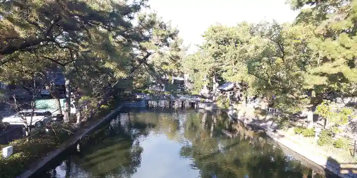 住吉大社(大阪府)