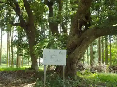 将門口ノ宮神社の庭園