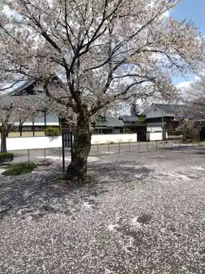 毫攝寺(福井県)