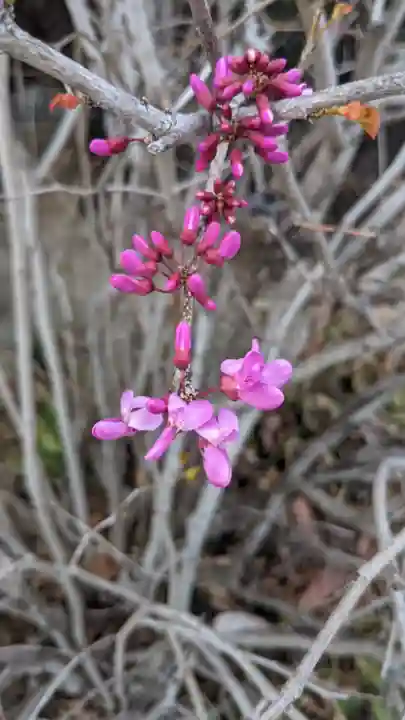長福寺(愛知県)