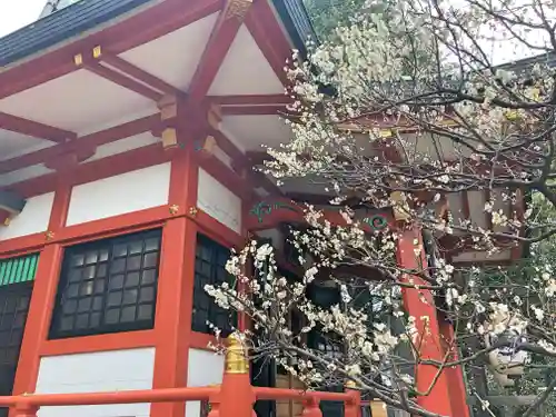 芝東照宮の本殿・本堂