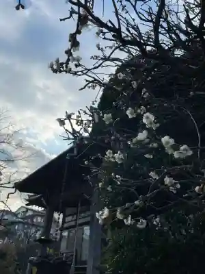長福寺の{uncategorized: "未分類", other: "その他", undefined: "問題あり", building: "その他建物", grave: "お墓", sacred_gate: "鳥居", guardian: "狛犬", statue: "像", buddha: "仏像", history: "歴史", nature: "自然", garden: "庭園", animal: "動物", pagoda: "塔", temizu: "手水舎", mountain_gate: "山門・神門", sanctuary: "本殿・本堂", subordinate: "末社・摂社", art: "芸術", scenery: "景色", jizo: "地蔵", ema: "絵馬", goshuin: "御朱印", omikuji: "おみくじ", items: "授与品その他", amulet: "お守り", goshuincho: "御朱印帳", eats: "食事", festival: "お祭り", votive_dance: "神楽", shichigosan: "七五三参", wedding: "結婚式", experience: "体験その他", initially: "初詣", around: "周辺", anti_infection: "感染症対策"}