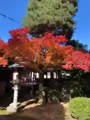 飛騨国分寺の建物その他