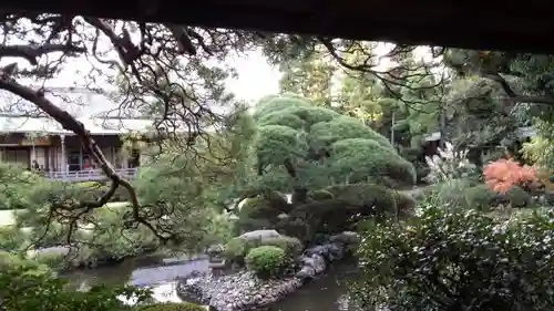 題経寺（柴又帝釈天）の庭園