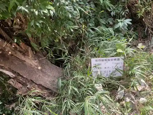 八龍社(愛知県)