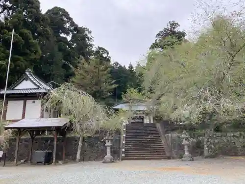 村山浅間神社の{uncategorized: "未分類", other: "その他", undefined: "問題あり", building: "その他建物", grave: "お墓", sacred_gate: "鳥居", guardian: "狛犬", statue: "像", buddha: "仏像", history: "歴史", nature: "自然", garden: "庭園", animal: "動物", pagoda: "塔", temizu: "手水舎", mountain_gate: "山門・神門", sanctuary: "本殿・本堂", subordinate: "末社・摂社", art: "芸術", scenery: "景色", jizo: "地蔵", ema: "絵馬", goshuin: "御朱印", omikuji: "おみくじ", items: "授与品その他", amulet: "お守り", goshuincho: "御朱印帳", eats: "食事", festival: "お祭り", votive_dance: "神楽", shichigosan: "七五三参", wedding: "結婚式", experience: "体験その他", initially: "初詣", around: "周辺", anti_infection: "感染症対策"}