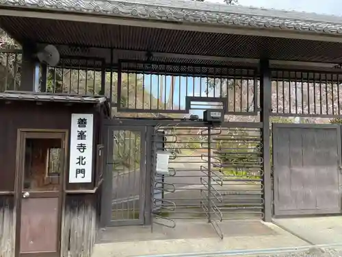 善峯寺(京都府)