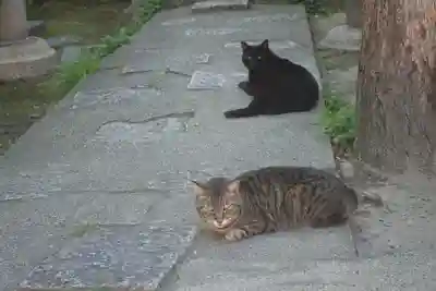 河堀稲生神社の動物