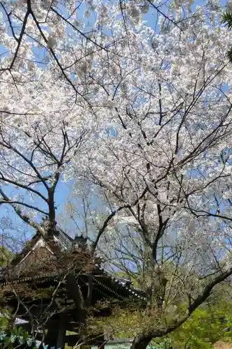 福仙寺(山口県)