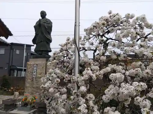 妙法寺(福井県)