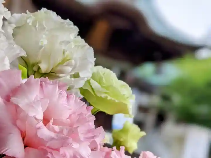 三津厳島神社の自然