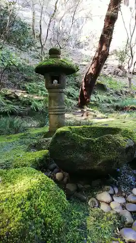 報国寺の庭園