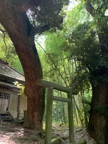 稲荷神社の鳥居