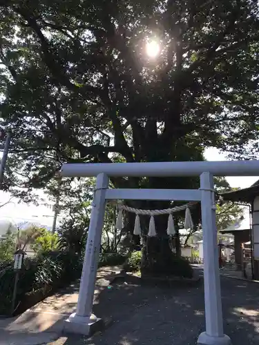 駒宮神社の鳥居