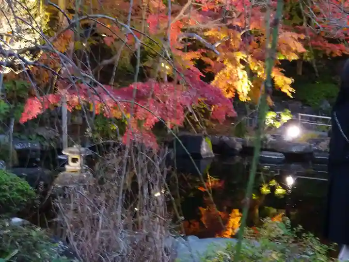 長谷寺(神奈川県)