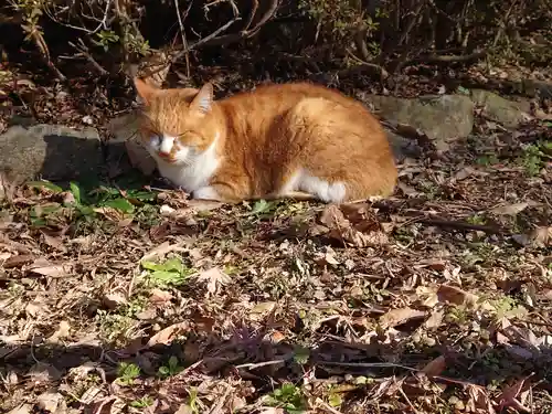淨眞寺(東京都)