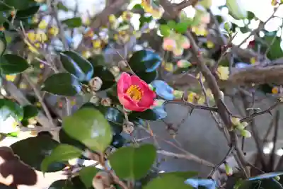 三津厳島神社(愛媛県)