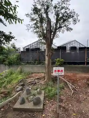 八幡神社(静岡県)
