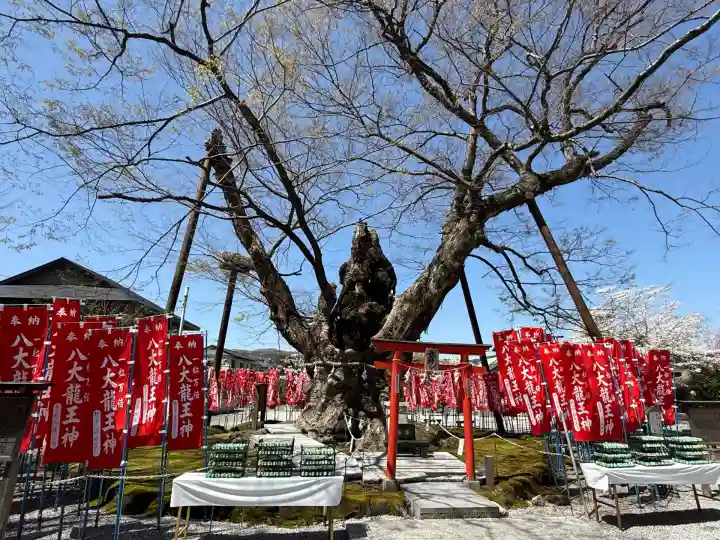 秩父今宮神社(埼玉県)
