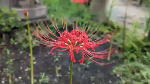 常泉寺(神奈川県)