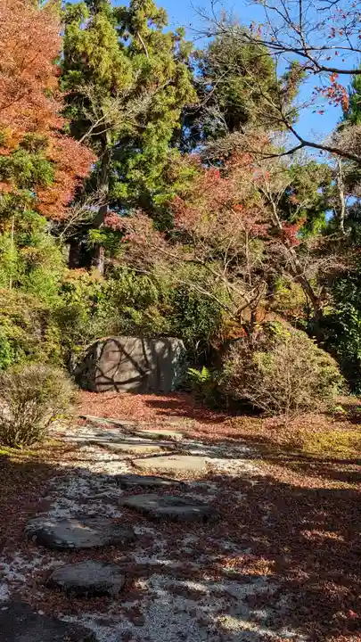 常照寺(京都府)